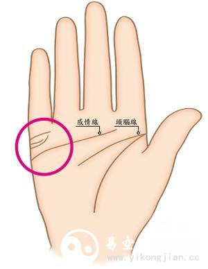 旺夫相女人手相特征 女性旺夫手是怎么样的 旺夫相女人手相特征 女性旺夫手是怎么样的